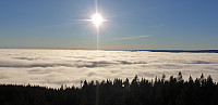 GreteR_20201108_5fa823cca9a72.jpg