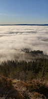 GreteR_20201108_5fa823d193b7d.jpg