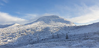 GreteR_20201114_5fb00787ebac0.jpg