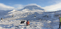 GreteR_20201114_5fb0078935126.jpg