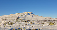 GreteR_20201129_5fc3bd2c74803.jpg