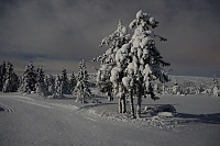 GreteR_20210128_6013286c9b941.jpg