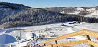 GreteR_20210206_601ee5b5f4119.jpg