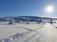 GreteR_20210207_602017e50c7ce.jpg