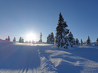 GreteR_20210207_602017ea41d95.jpg