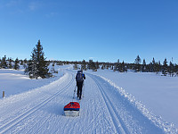 GreteR_20210314_604e405a0c406.jpg