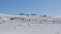 GreteR_20210411_6073371166ecc.jpg