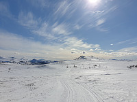 GreteR_20210411_6073371a83631.jpg