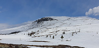 GreteR_20210425_60856f0dc41ac.jpg