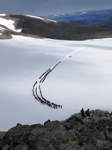 En stor gruppe på tur over breen
