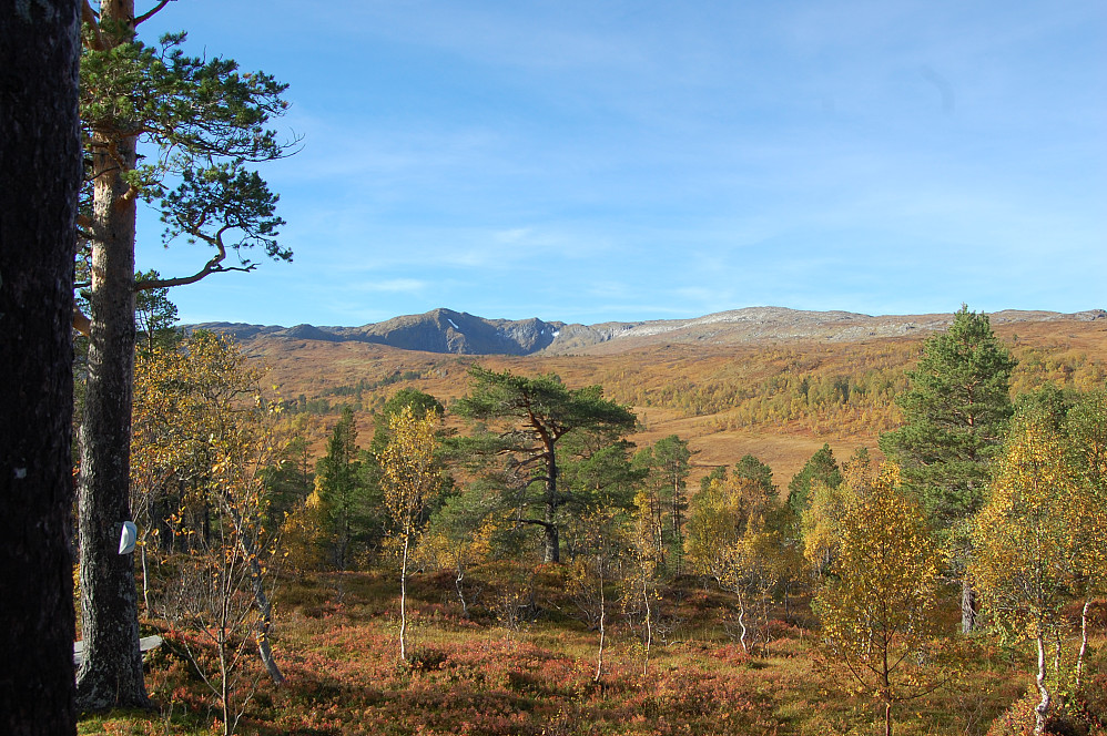 Jørenskarfjellet (sett fra hytta)
