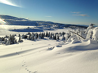 Snota1668_20160214_56c0b428702e5.jpeg