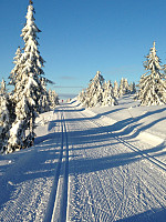 Snota1668_20160214_56c0b4573cf62.jpeg