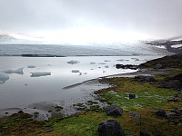 Snota1668_20160911_57d5b5fee9d59.jpeg