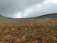 Snota1668_20160911_57d5bc3a20b5d.jpeg