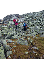 Snota1668_20160912_57d6f62b703a6.jpeg