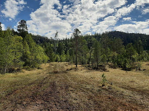 Over ei av myrene i starten, he|r begynner fjellet og skimtes i front.