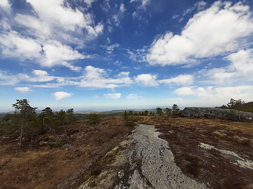 Over skogbåndet