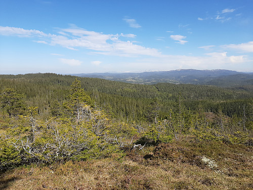 Nordover i retning Stjørdal