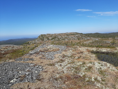 Toppen sett fra Gråberga-siden