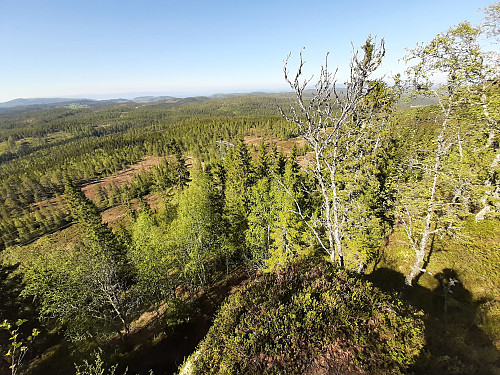 Oppover i høyden