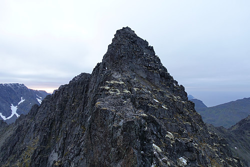 Toppen av Kvassnuvva sett fra øst. Den ferske toppvarden kan skimtes på toppen