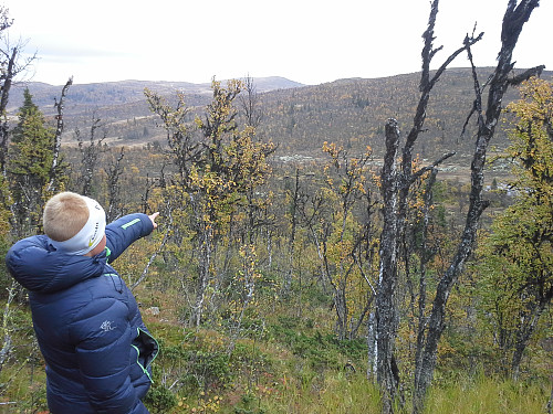 Skruvdalsbua er forlatt og neste mål skruvdalstinden.