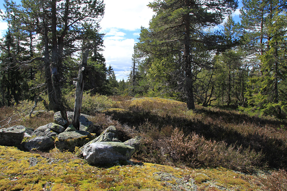Kirketoppen