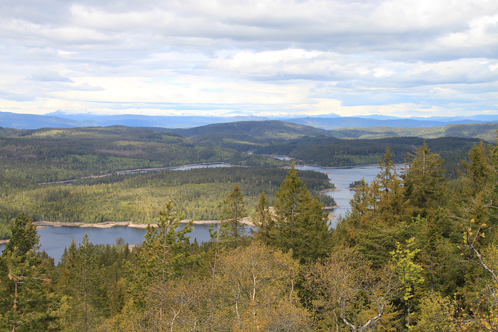 Flott utsikt Nord-Vestover fra Vestfjellet