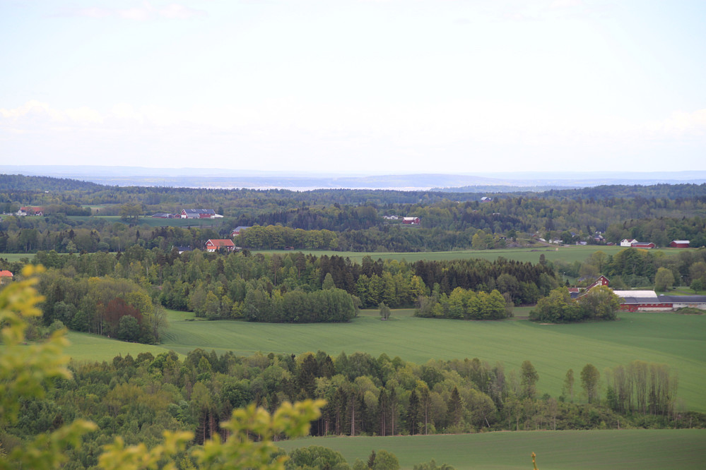 Flott utsikt utover kulturlandskapet i Vestfold