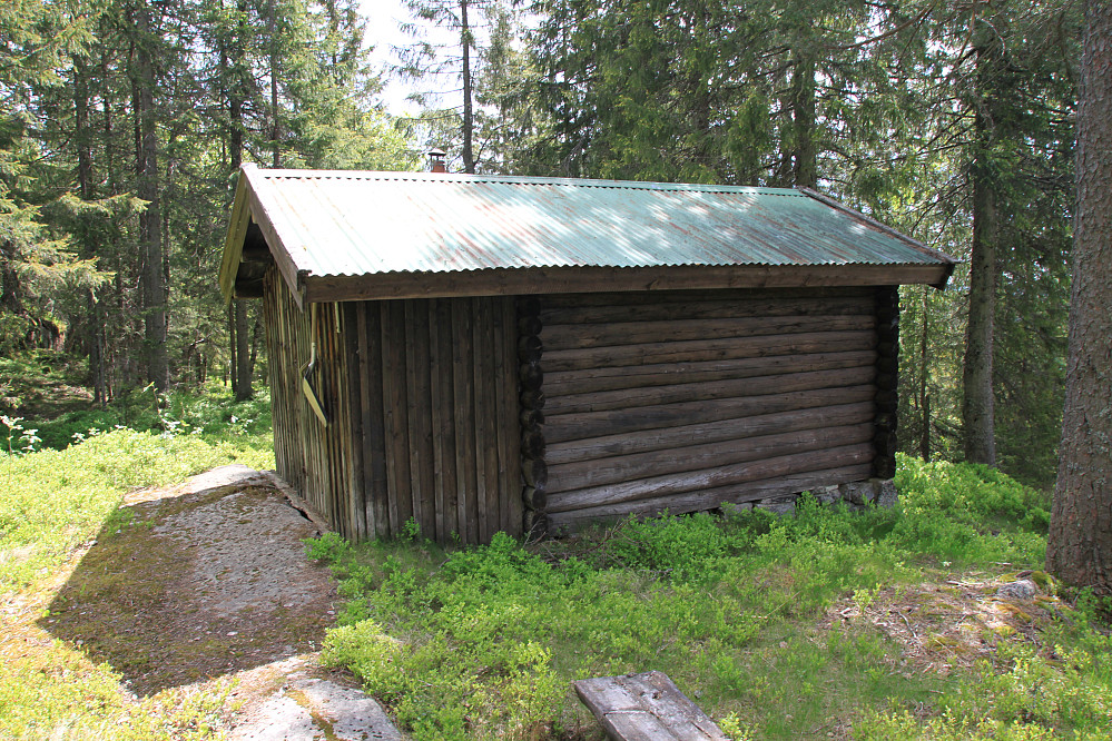 Skogskoia hit går det sti
