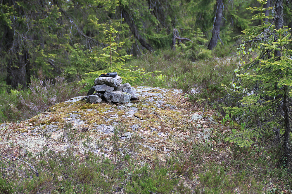 Toppunktet på Vidvangsåsen sør for