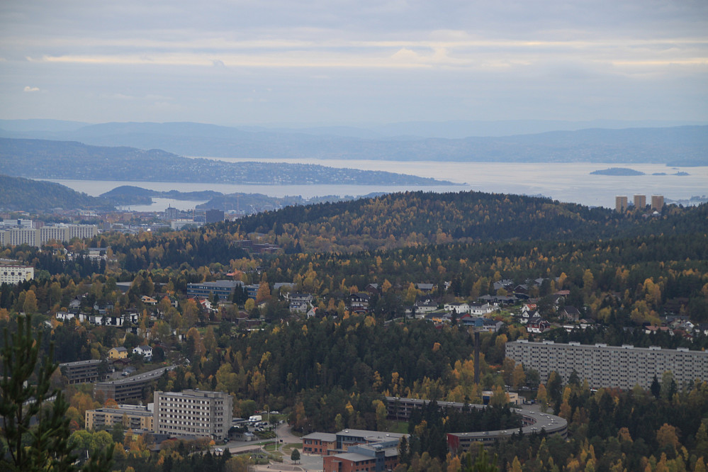 Oslo sett fra Røverkollen
