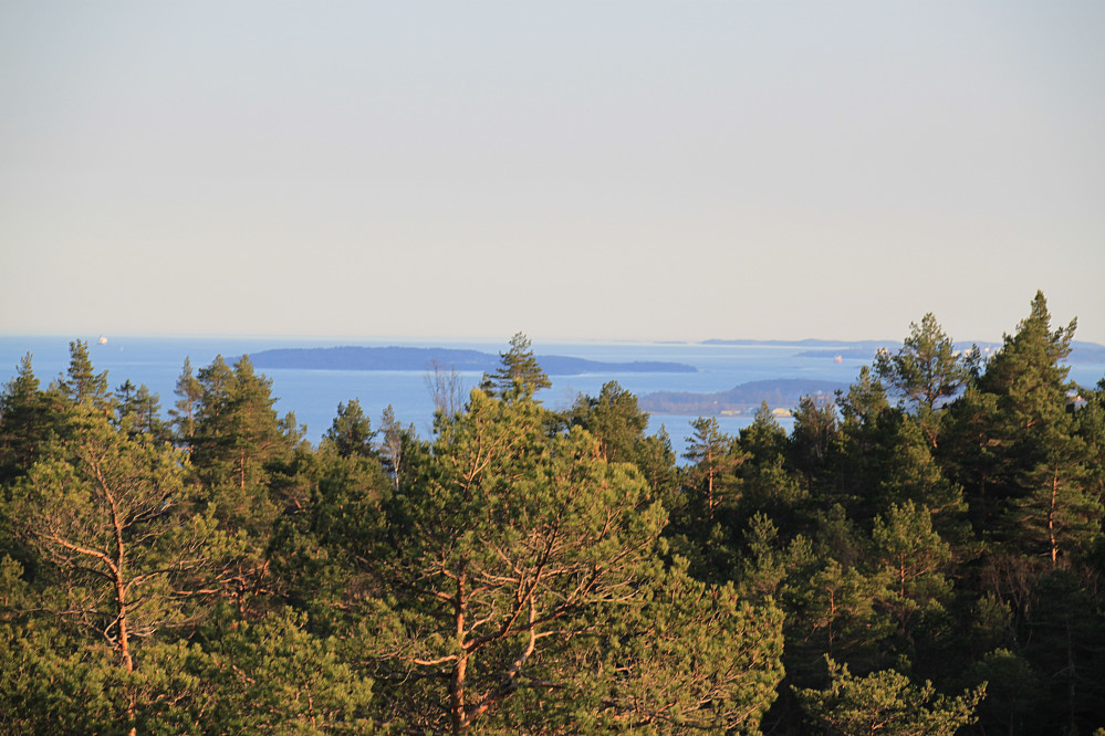 Flott utsikt utover fjorden