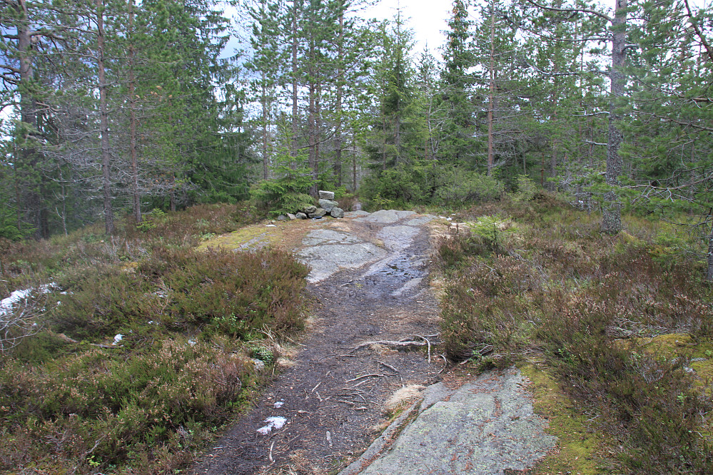 Toppen av Kraftkollen
