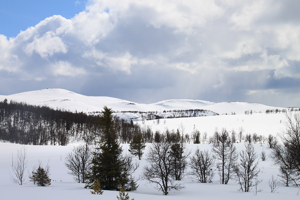 Fra Øyvann Mot Skridunatten