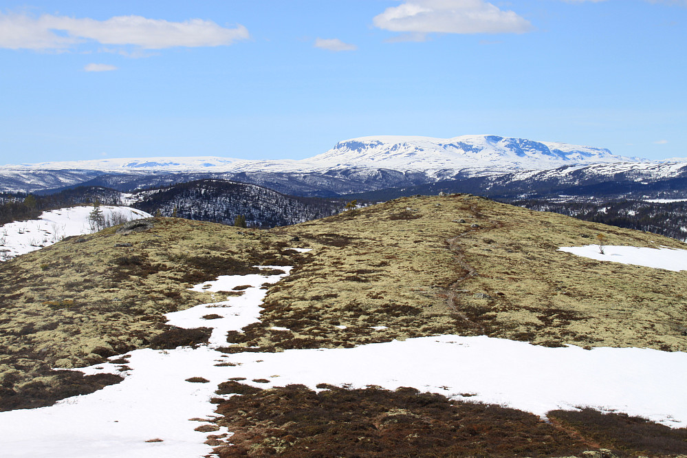 Utsikt mot Hallingskarvet og Hardangerjøkulen