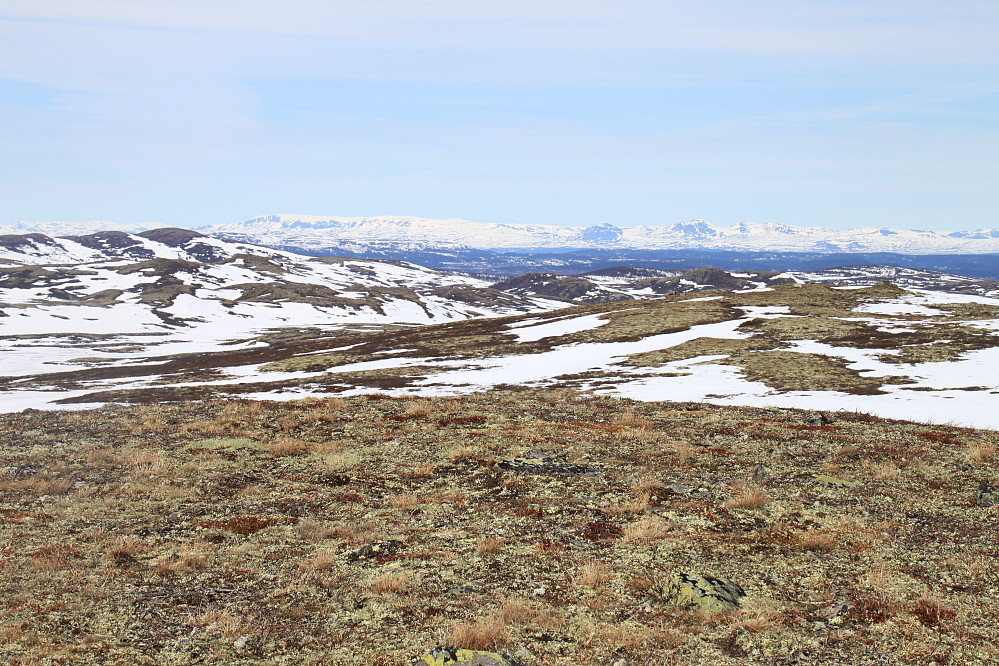 Utsikt retning Jotunheimen