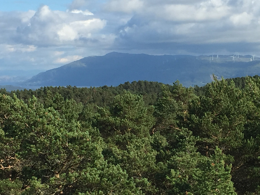Utsikt mot Medhamarsåto og vindmølleparken i Fitjar