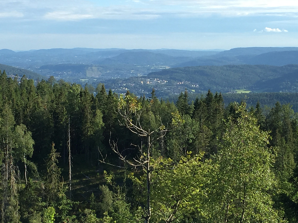 Utsikt utover Lommedalen