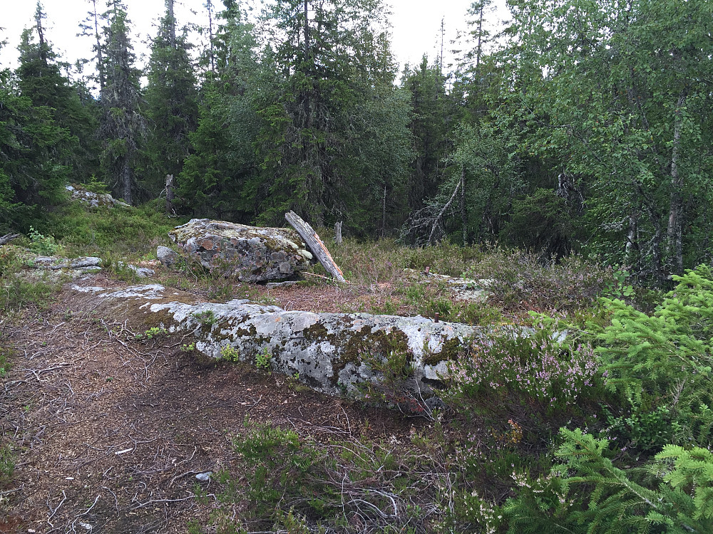 Toppen av Grasdalskollen