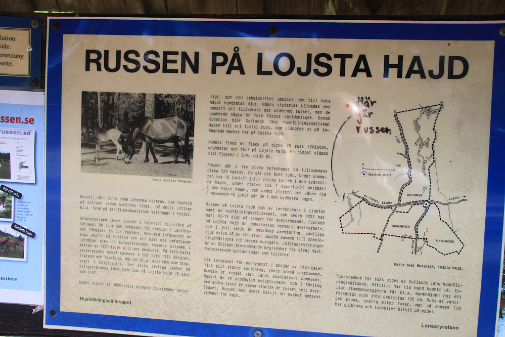 Om russen