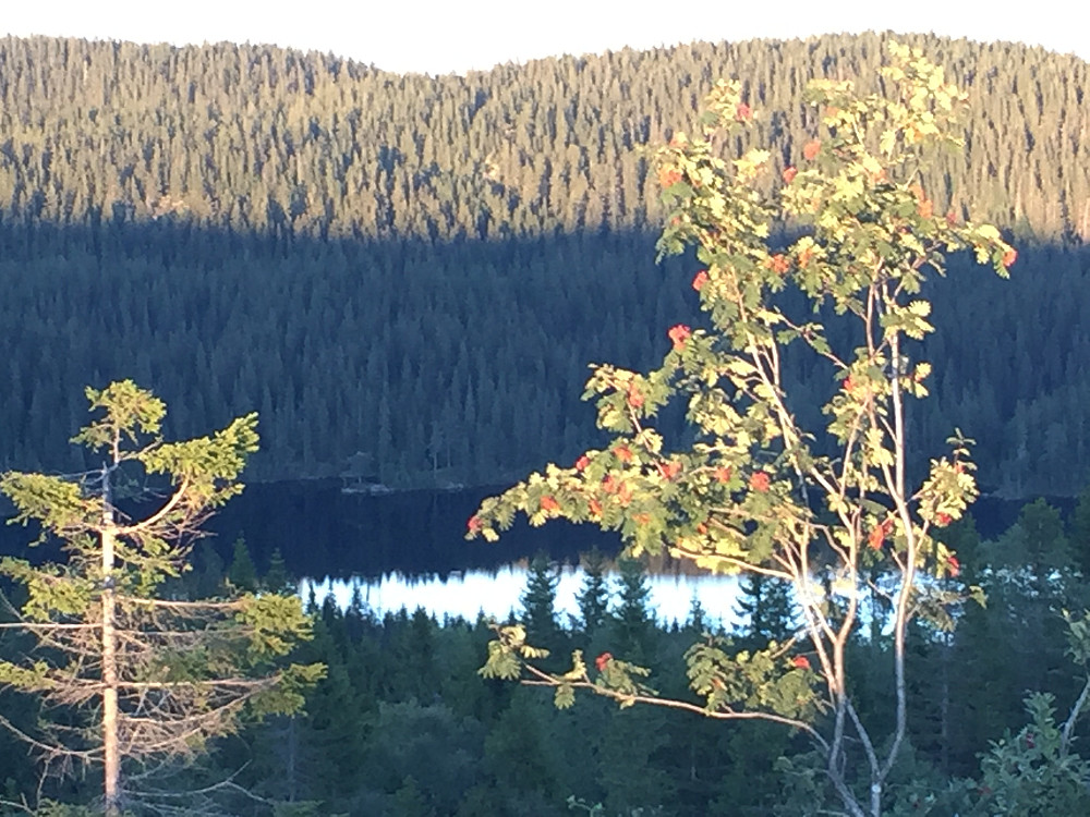 Utsikt over Langevatnet mot Korsvasshøgda