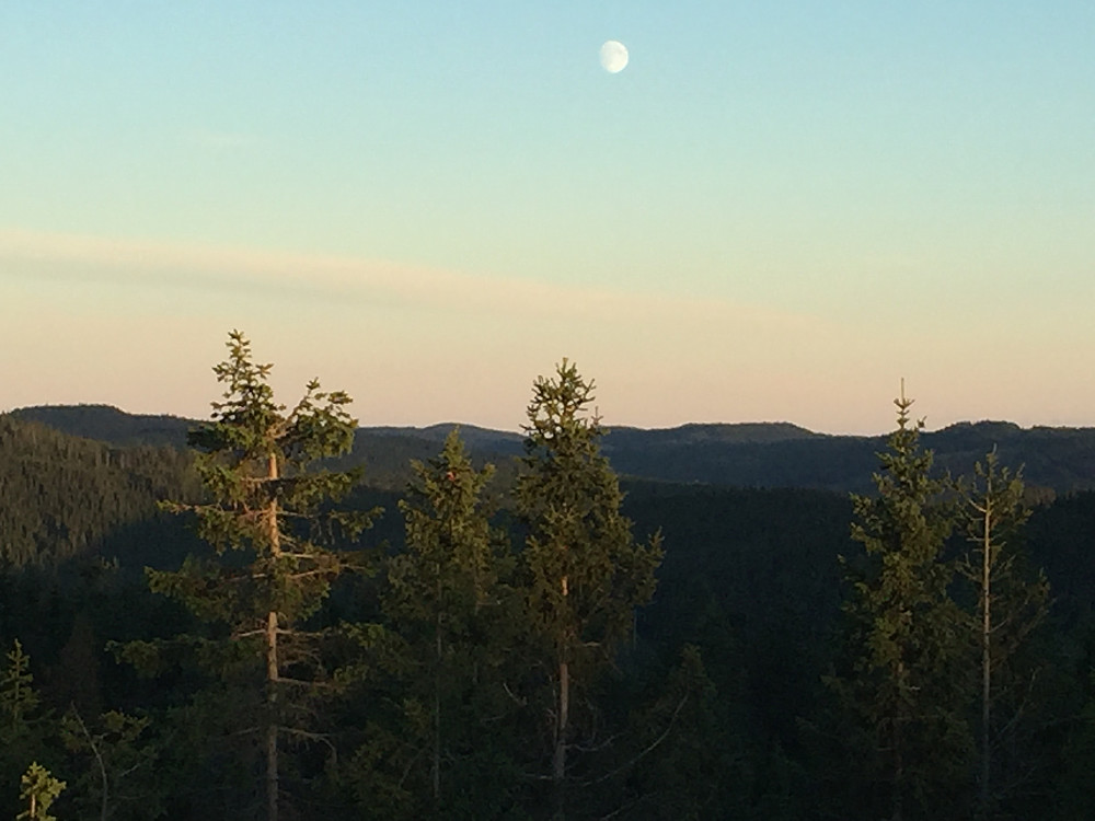 Nesten fullmåne
