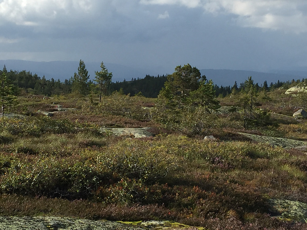 Regnbyger over Jonsknuten