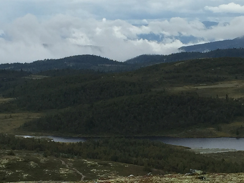 Regn og tåke i Rukkedalen