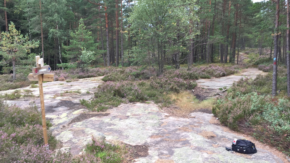 Fine stier på glatt berg, god merking