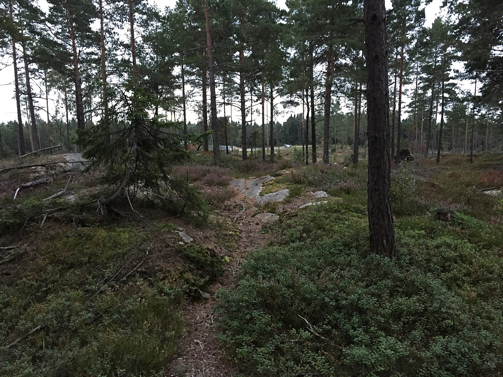 Sti bort til toppen