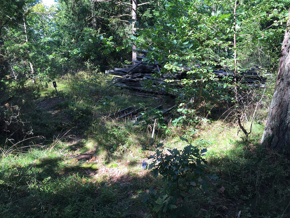 Toppunktet på Bjørnåsen