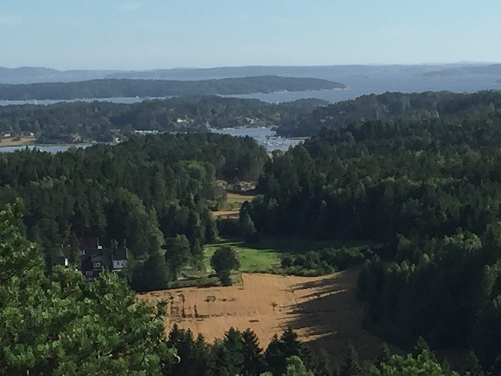 Utsikt ut fjorden